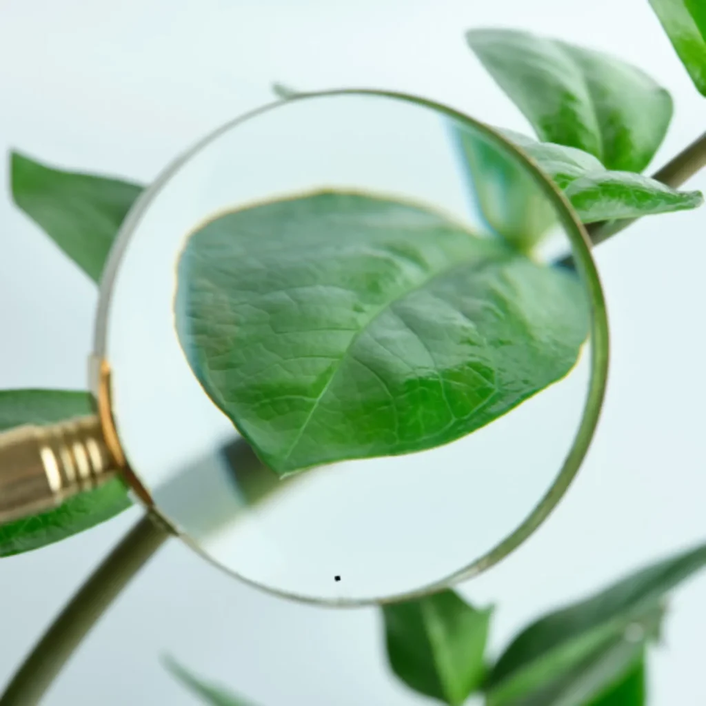 טיפול פרטני